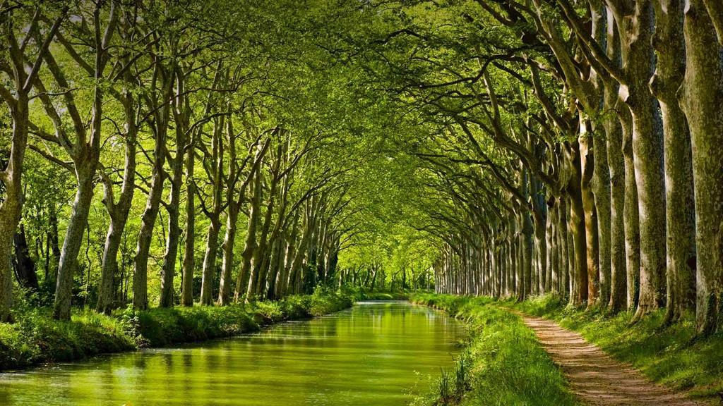 Gite La Chartreuse Du Canal Du Midi Toulouse Eksteriør billede
